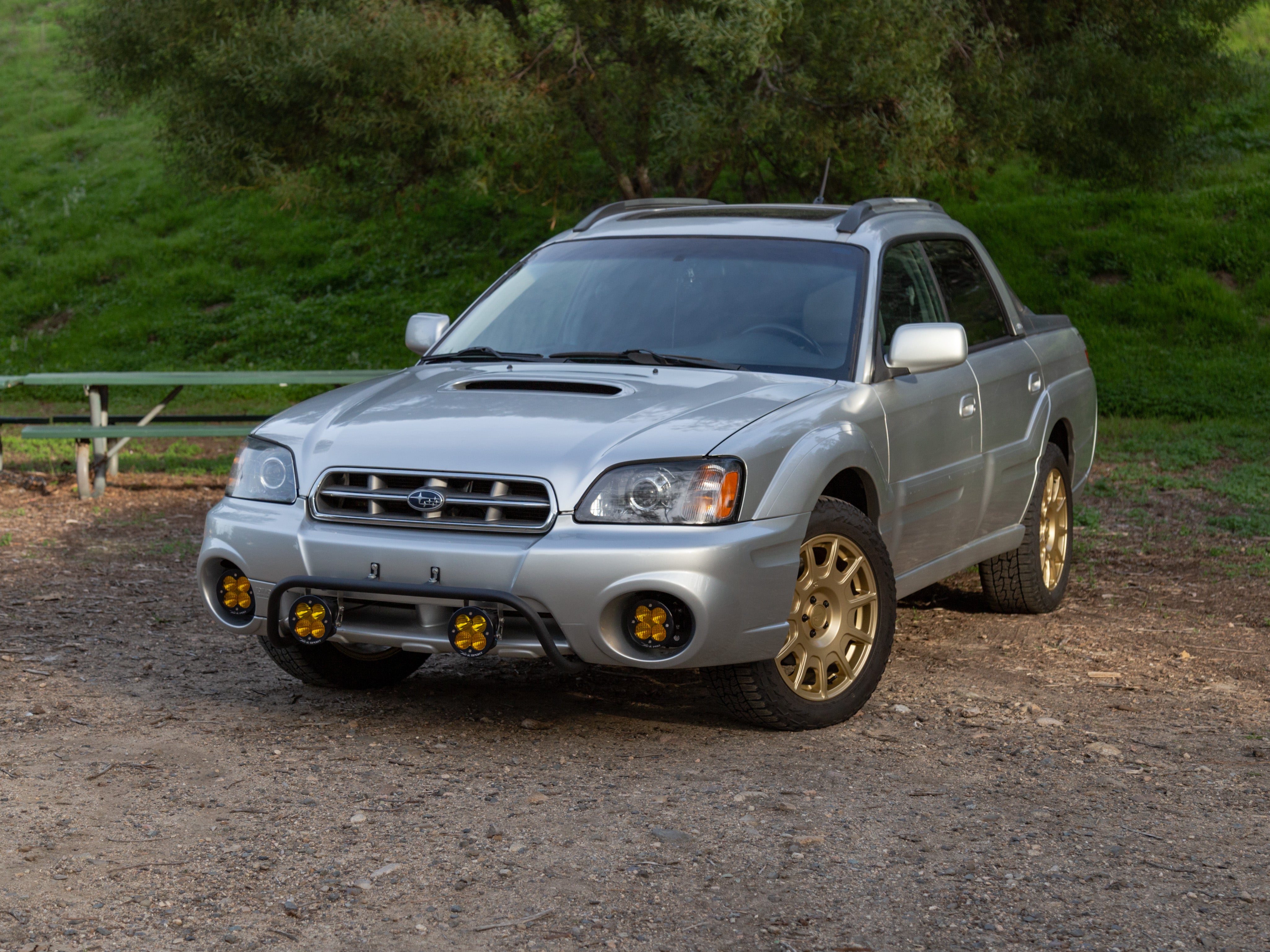 Subaru baja brush guard deals