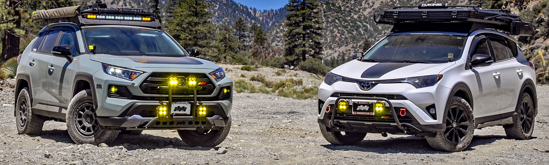 Lowered Rav 4 Rally Toyota – Tagged